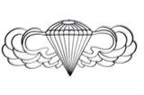 Airborne Symbol Metal Wall Art and Decor