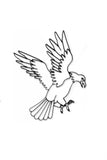 Eagle Metal Wall Decor and Wall Sculpture